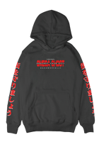 Protect Your City (pullover hoodie)